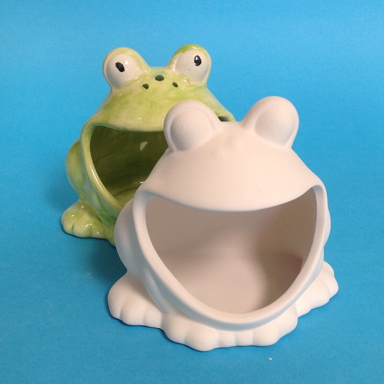 Frog scrubby holder