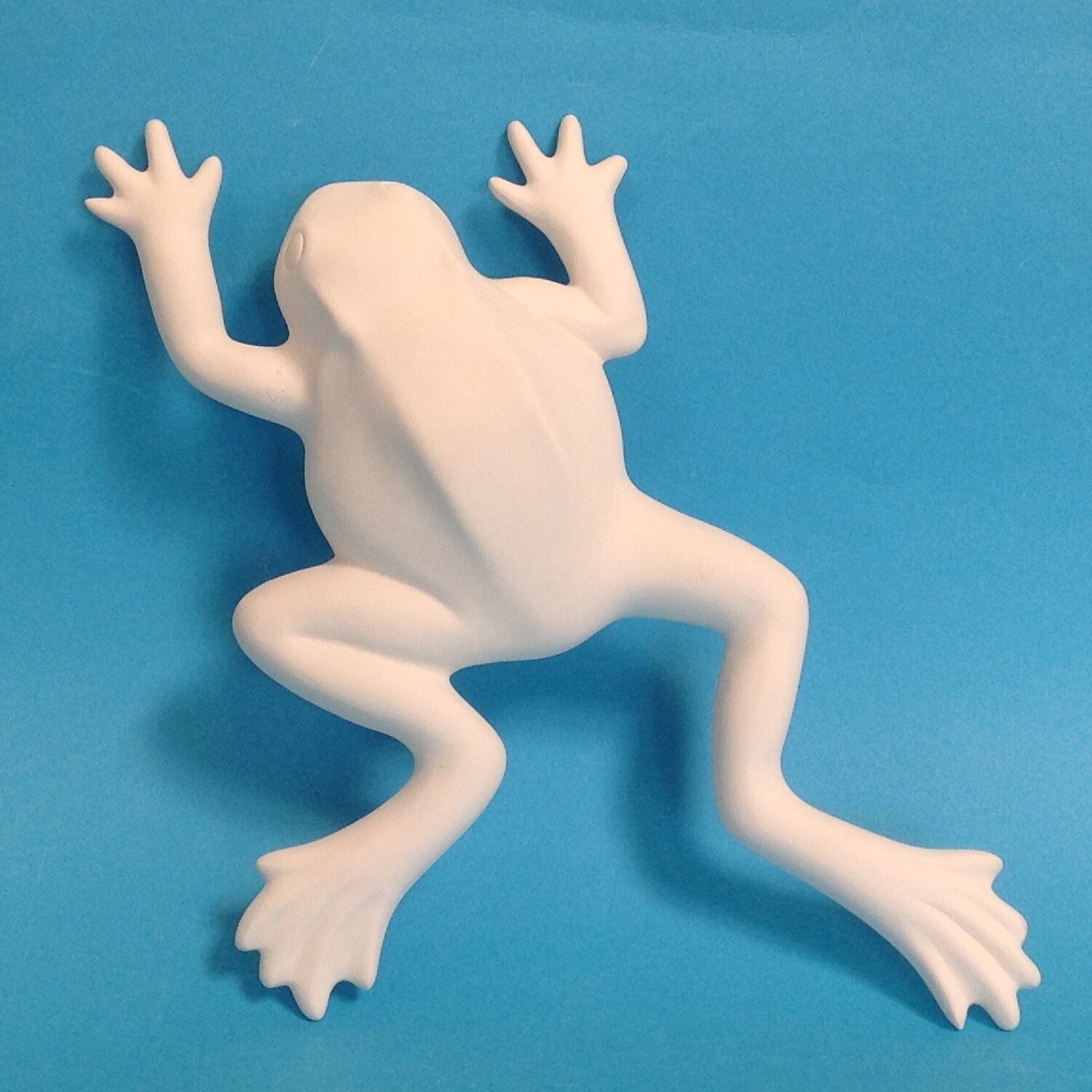 Frog Wall Plaque