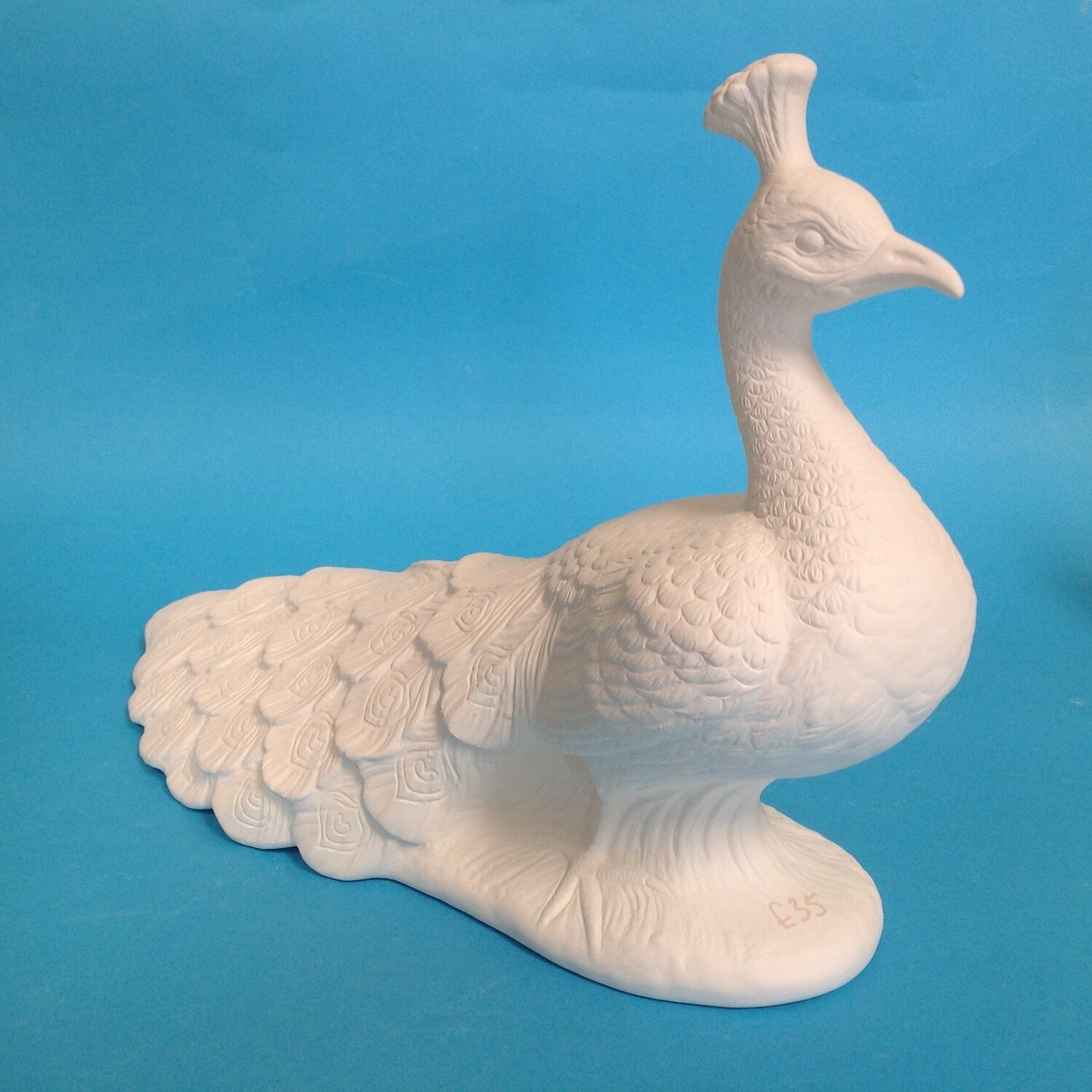 Peacock