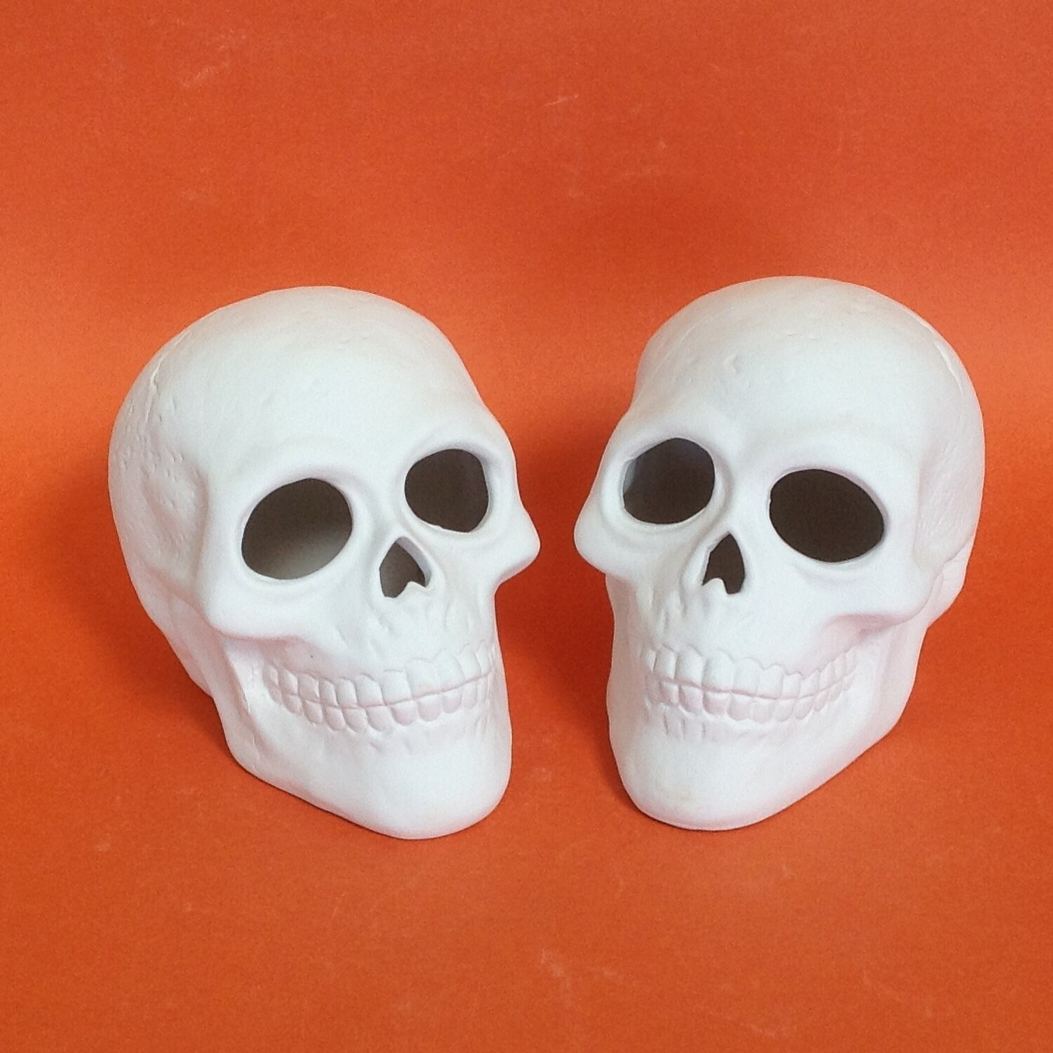 Skull