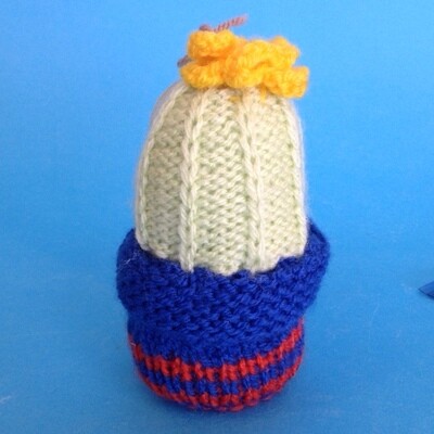 Cactus - knitted