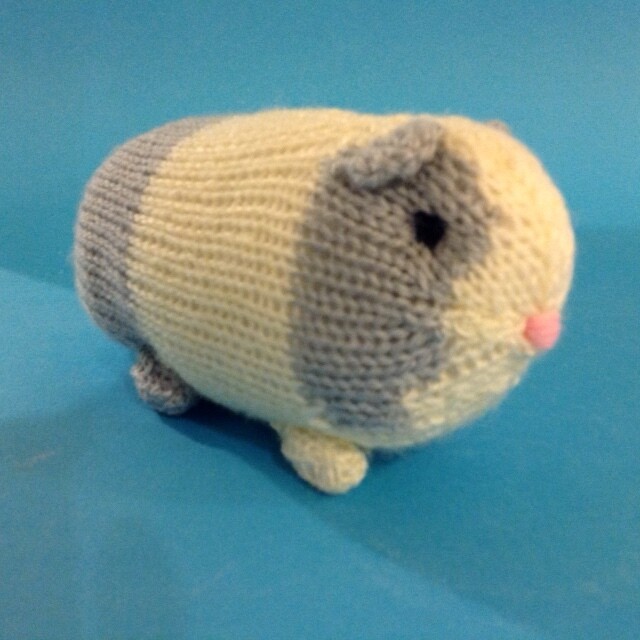 Guinea pig, grey&amp; white