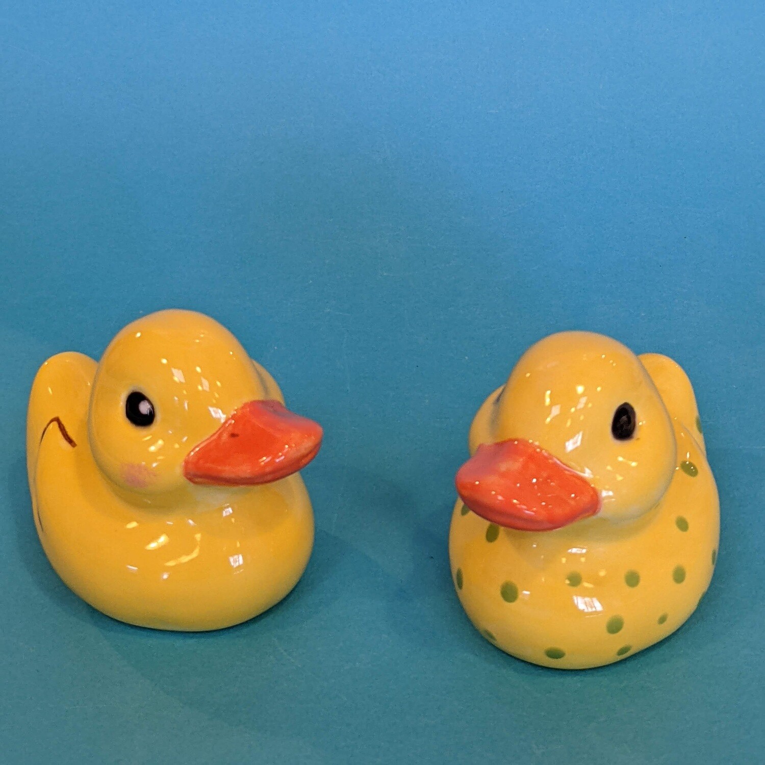 Duck
