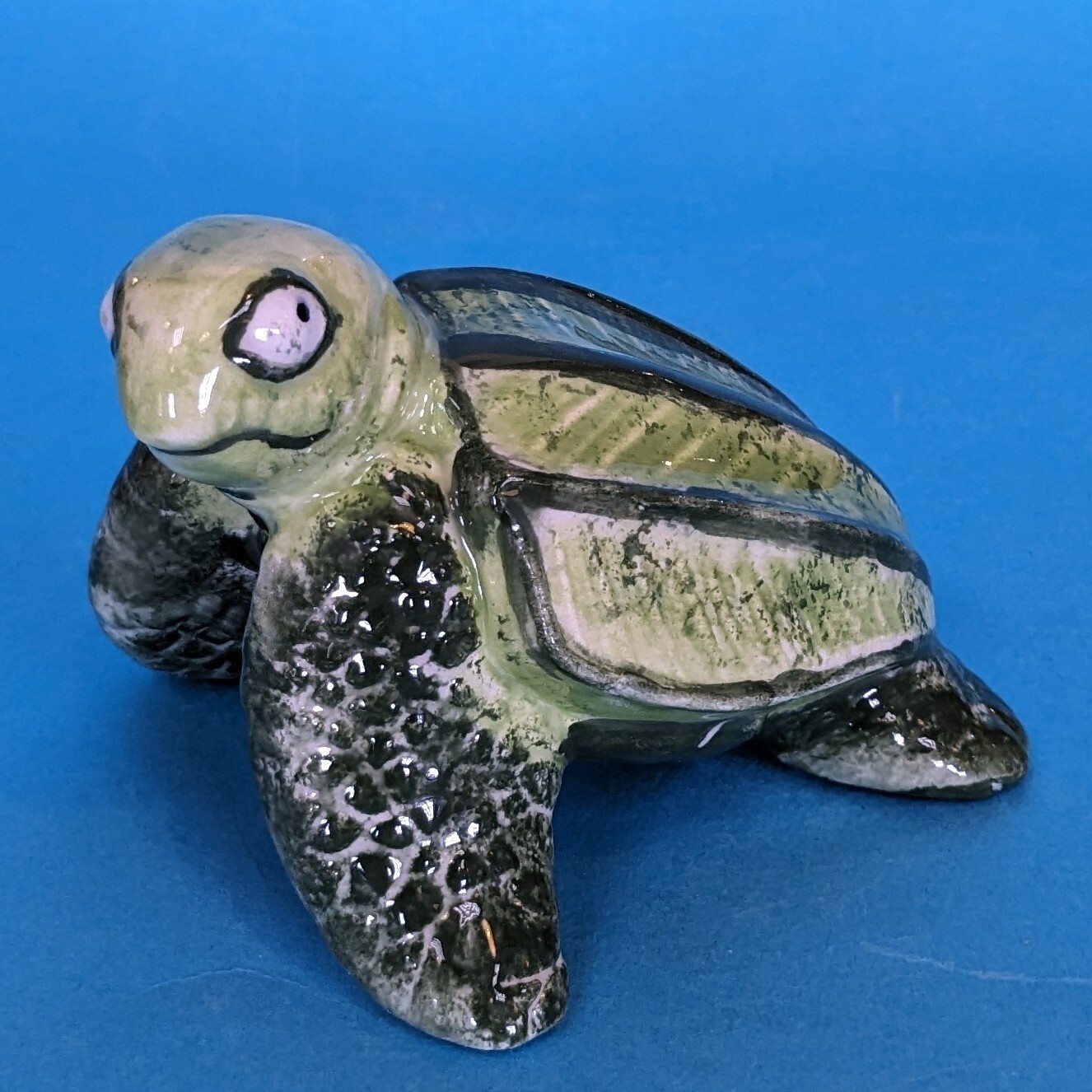 Turtle