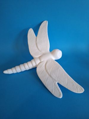 Dragonfly, large