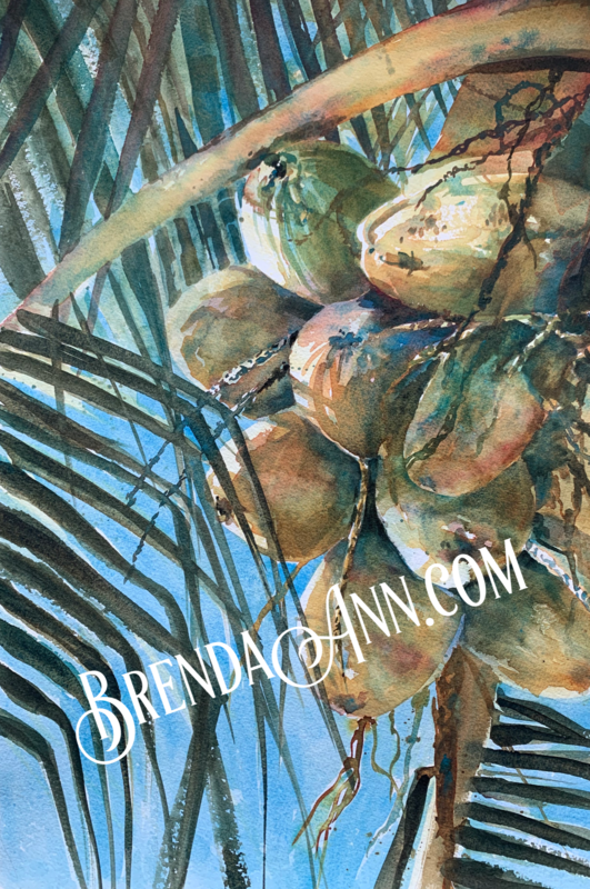 Tropical Palm Tree Art - Bunch of Coconuts Watercolor Print