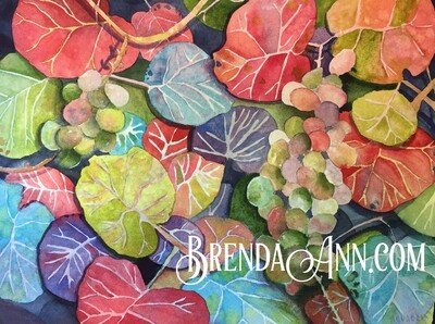 Red Sea Grape Leaves in Key West, FL - Hand Signed Archival Watercolor Print