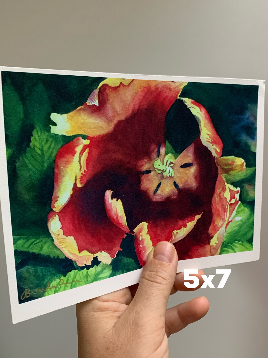 Orange Parrot Tulip Watercolor Print - 5x7 Inches Floral Art Gift