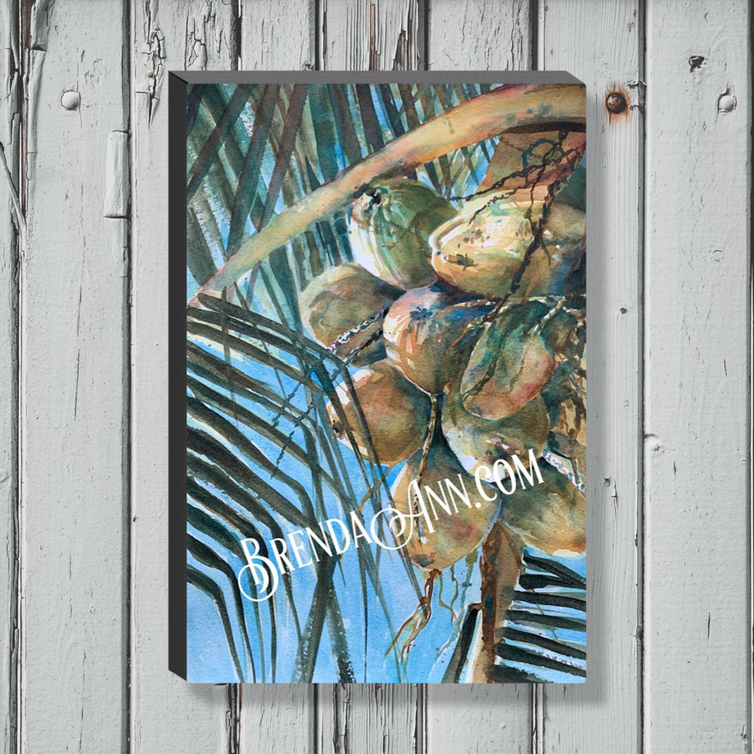 Tropical Palm Tree Art - Bunch Of Coconuts Canvas Gallery Wrapped Print