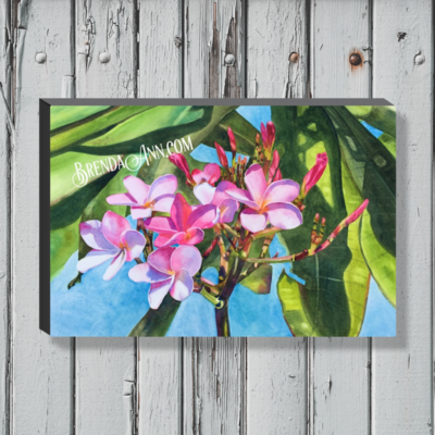 Pink Plumeria Frangipani Watercolor Print - 1.25" Deep Canvas Gallery Wrapped Floral Beach House Art Gift 
