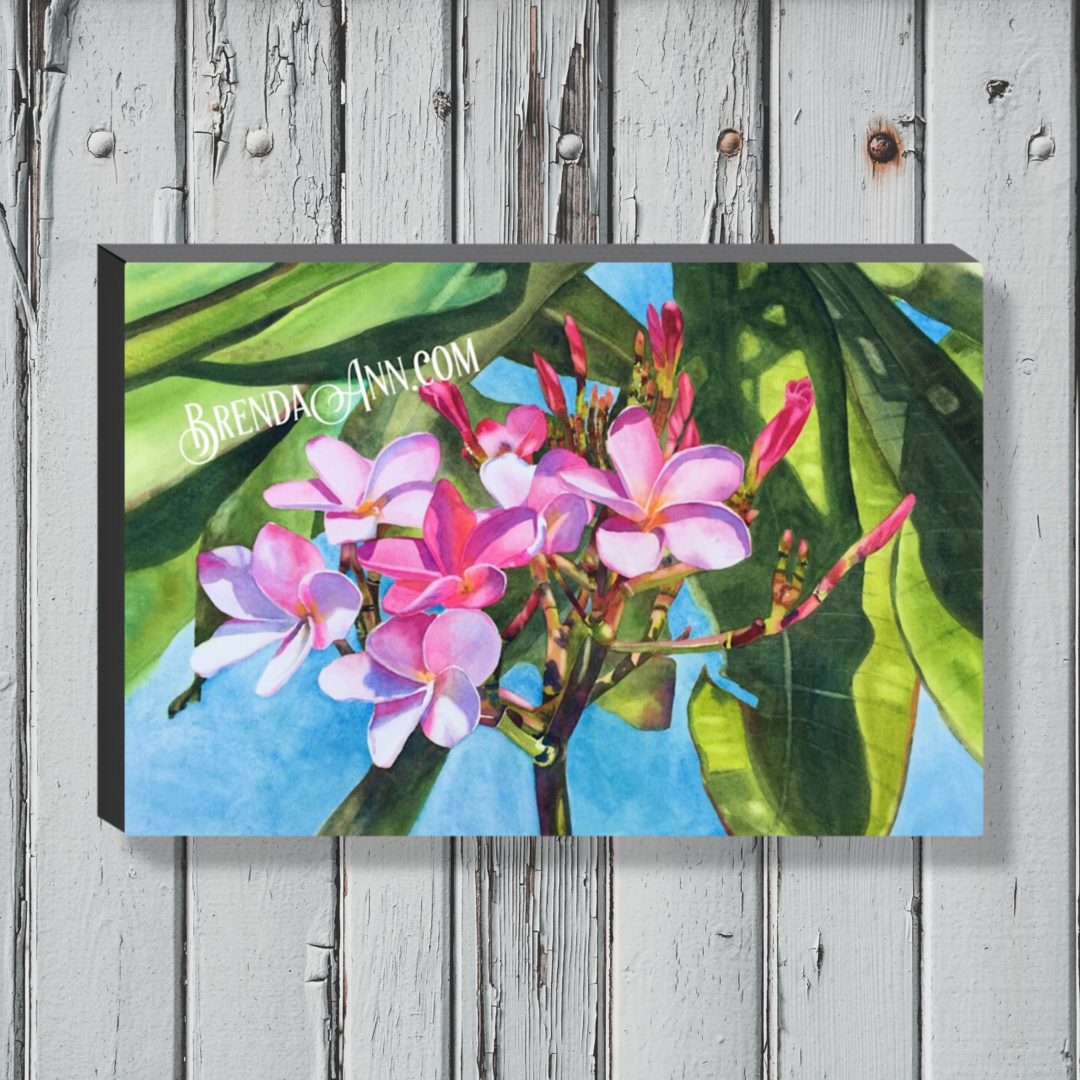 Tropical Flower Art - Pink Plumeria  Canvas Gallery Wrapped Print
