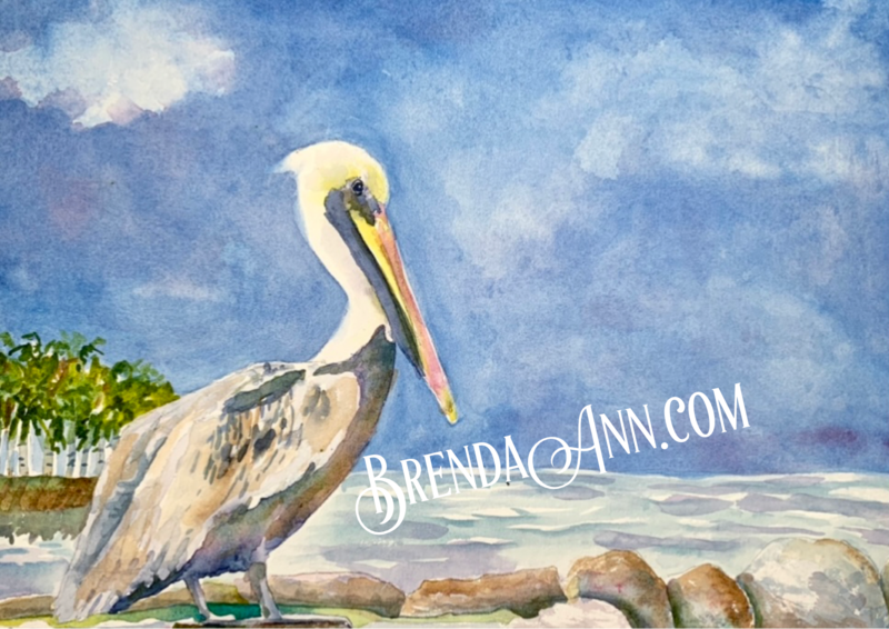 Tropical Bird Art -  Pelican Watercolor Print