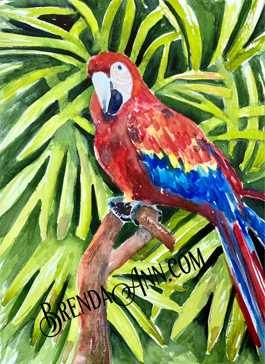 Tropical Bird Art -  Parrot Watercolor Print