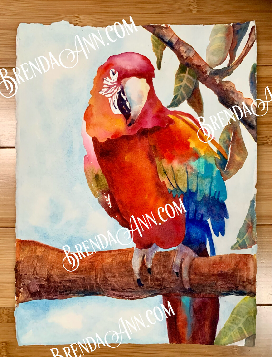Bird Art - Red Parrot UNFRAMED ORIGINAL Watercolor Painting