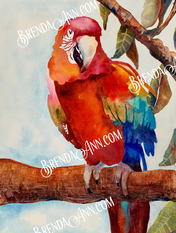 Tropical Bird Art -  Colorful Red Parrot Watercolor Print