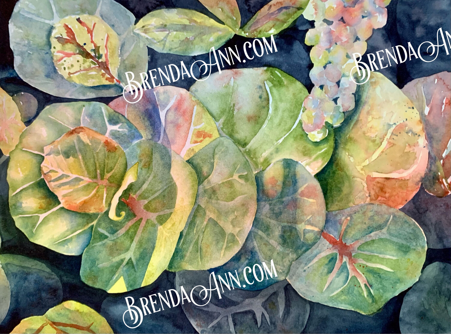 Tropical Foliage Art - Seagrape Leaves Watercolor Print