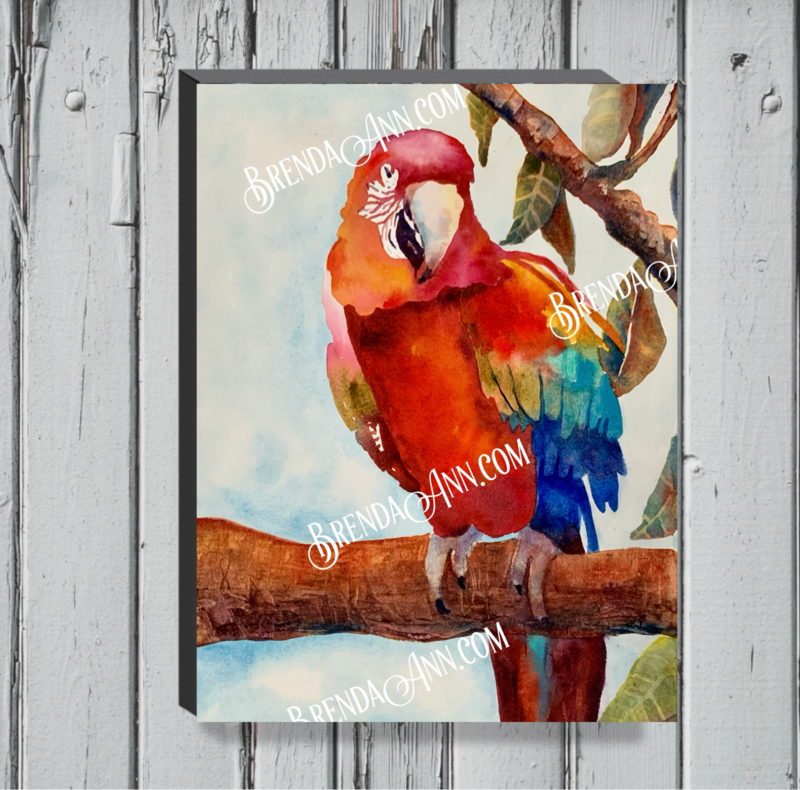 Tropical Bird Art - Parrot Canvas Gallery Wrapped Print