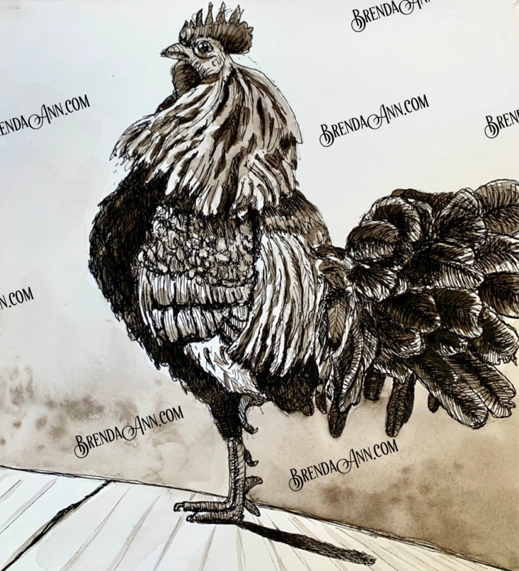 Key West Pen & Ink Art -  Rooster Ink & Watercolor Print