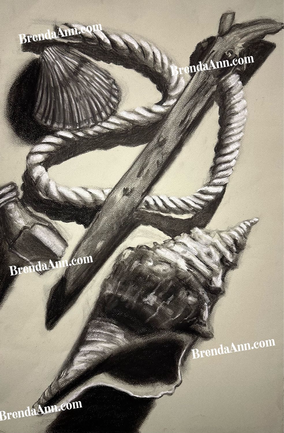 Nautical Art - Driftwood &amp; Seashells Charcoal Print