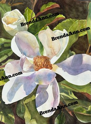 Flower Art - Magnolia Dreams Watercolor Print
