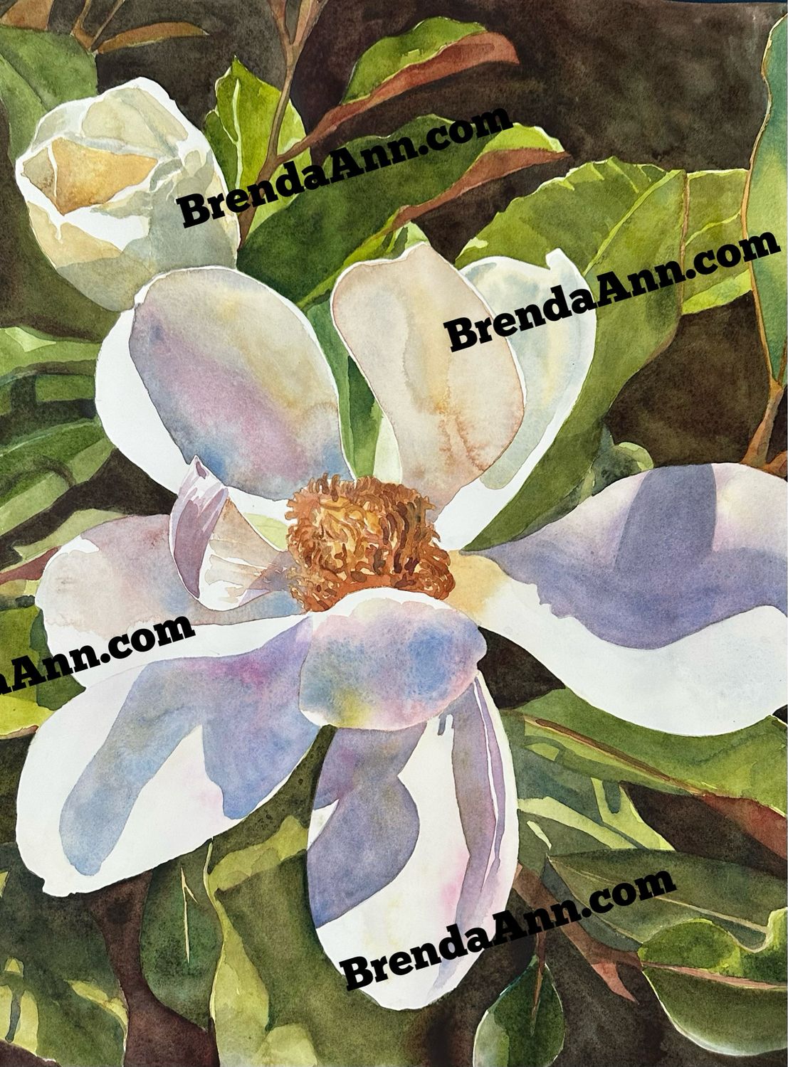 Flower Art - Magnolia Dreams Watercolor Print
