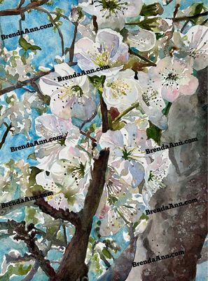 Flower Art - Cherry Blossom Watercolor Print