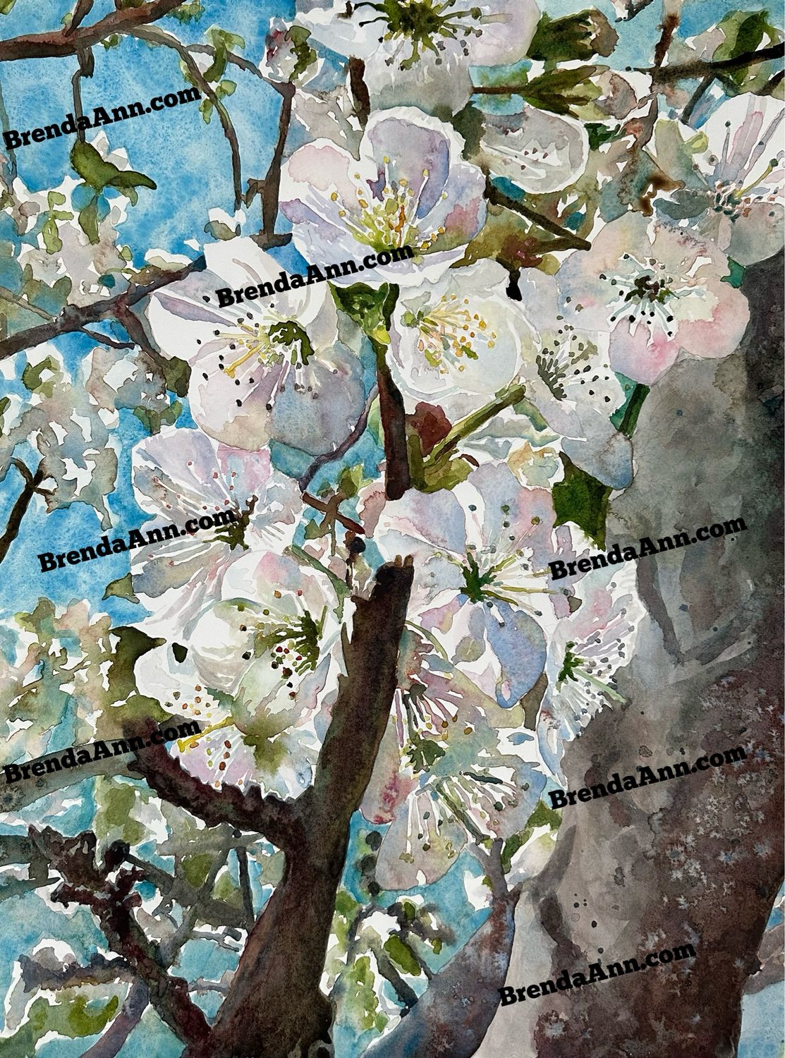 Spring Flower Art - Cherry Blossom UNFRAMED ORIGINAL Watercolor Painting