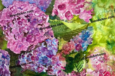 Hydrangea Flowers Watercolor Print - 11x14 Inches - Floral Beach Home Art Gift