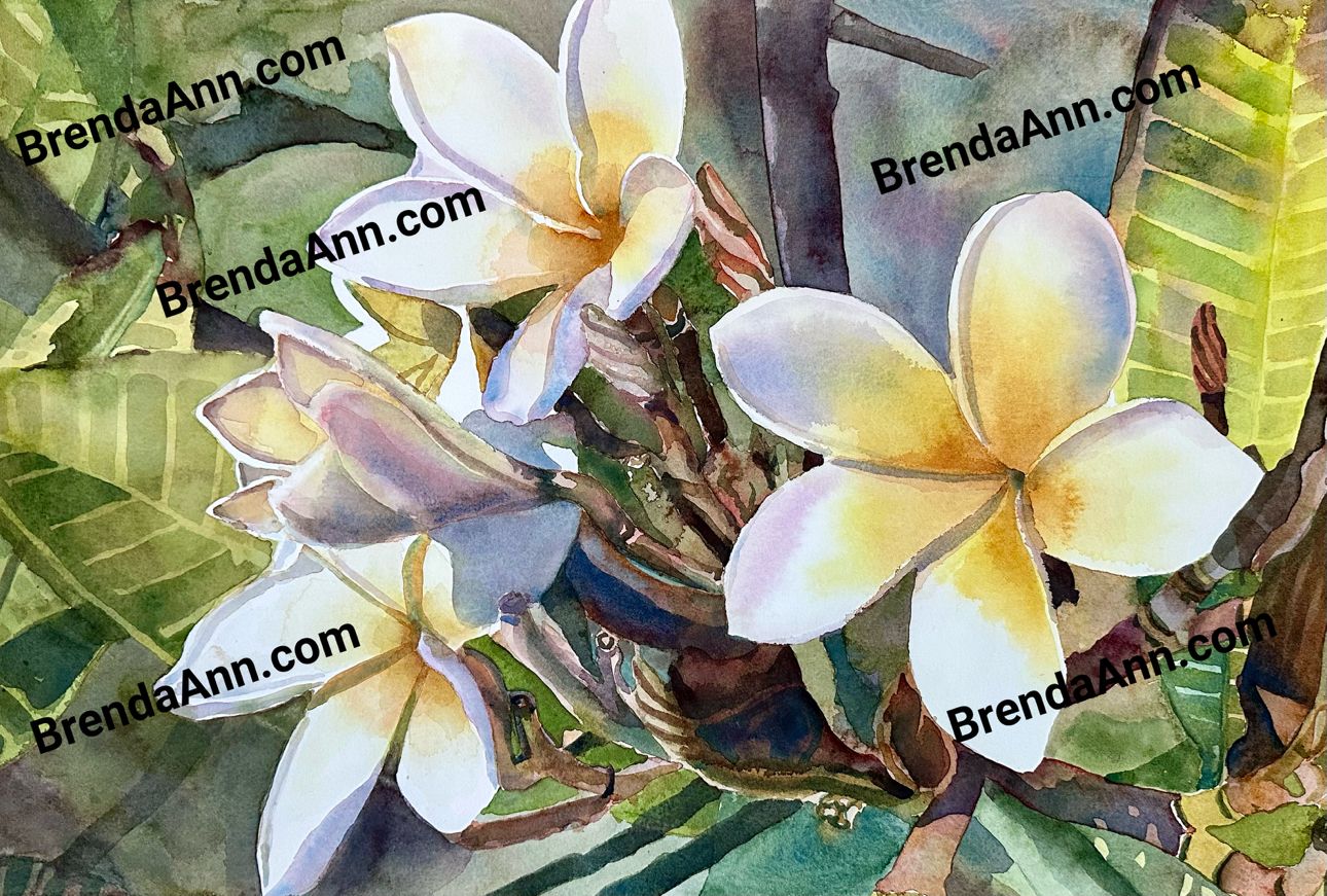 Yellow Plumeria Flower 11x14 inches Watercolor Print - Tropical Frangipani Floral Art Gift