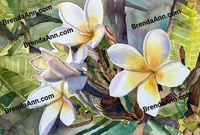 Yellow Plumeria Flower 11x14 inches Watercolor Print - Tropical Frangipani Floral Art Gift