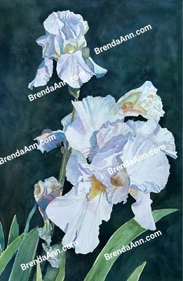 Elegant Iris Watercolor Print - Floral Beach House Art Gift - Stone Harbor NJ Artist