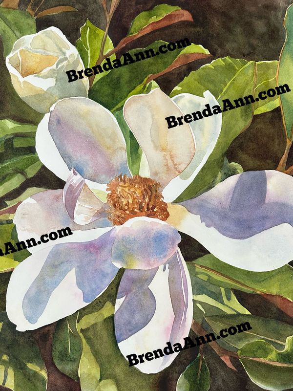 Magnolia Watercolor
