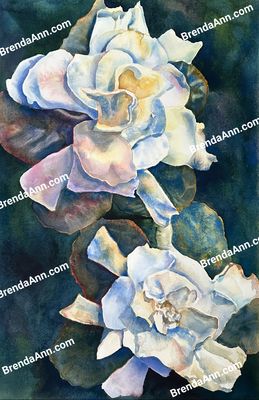 "Midnight Glow" Gardenia Watercolor Print - Floral Beach House Art Gift - Stone Harbor NJ Artist
