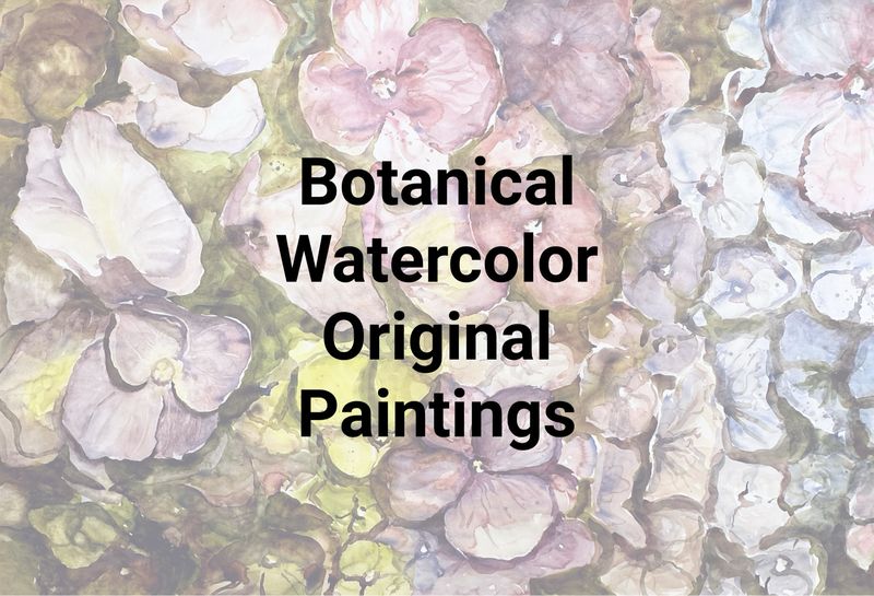 Floral Botanical Original Watercolor Paintings