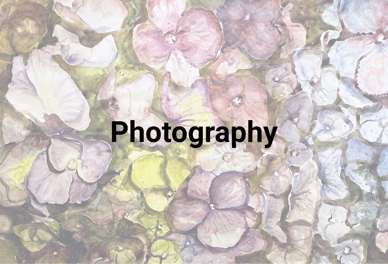 stone harbor nj beach sunrise photography