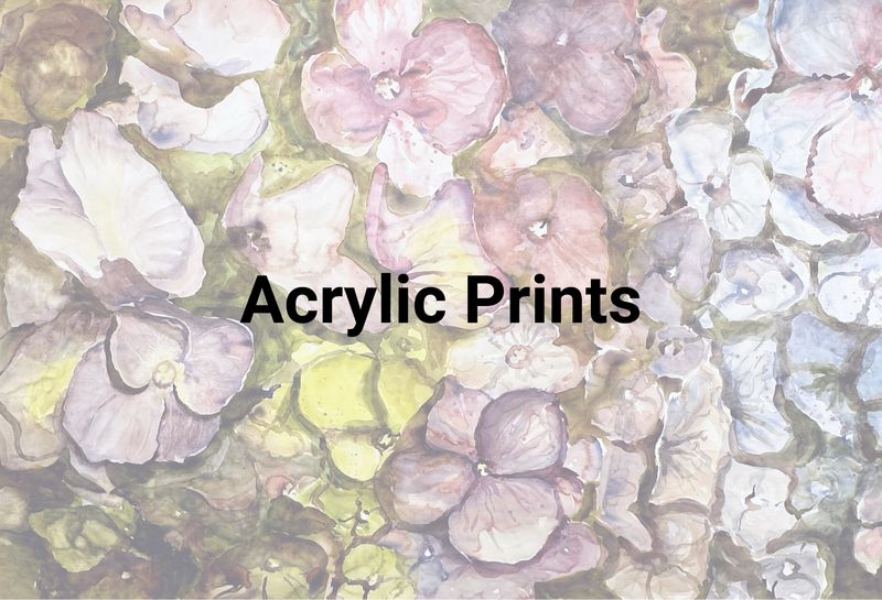 Acrylic Prints