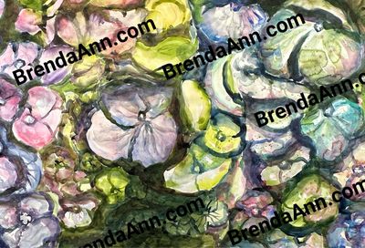 "Garden Reverie" Teal Green Hydrangea Watercolor Print - Floral Beach Home Art Gift - Stone Harbor NJ Artist