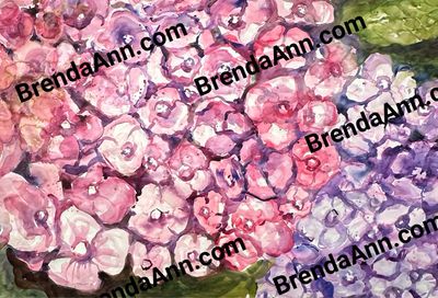 "Pink Lace" Pink Hydrangea Watercolor Print - Floral Beach Home Art Gift - Stone Harbor NJ Artist