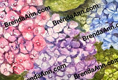 &quot;Summer Trio&quot; Pink Blue Purple Hydrangea Watercolor Print - Floral Beach Home Art Gift - Stone Harbor NJ Artist