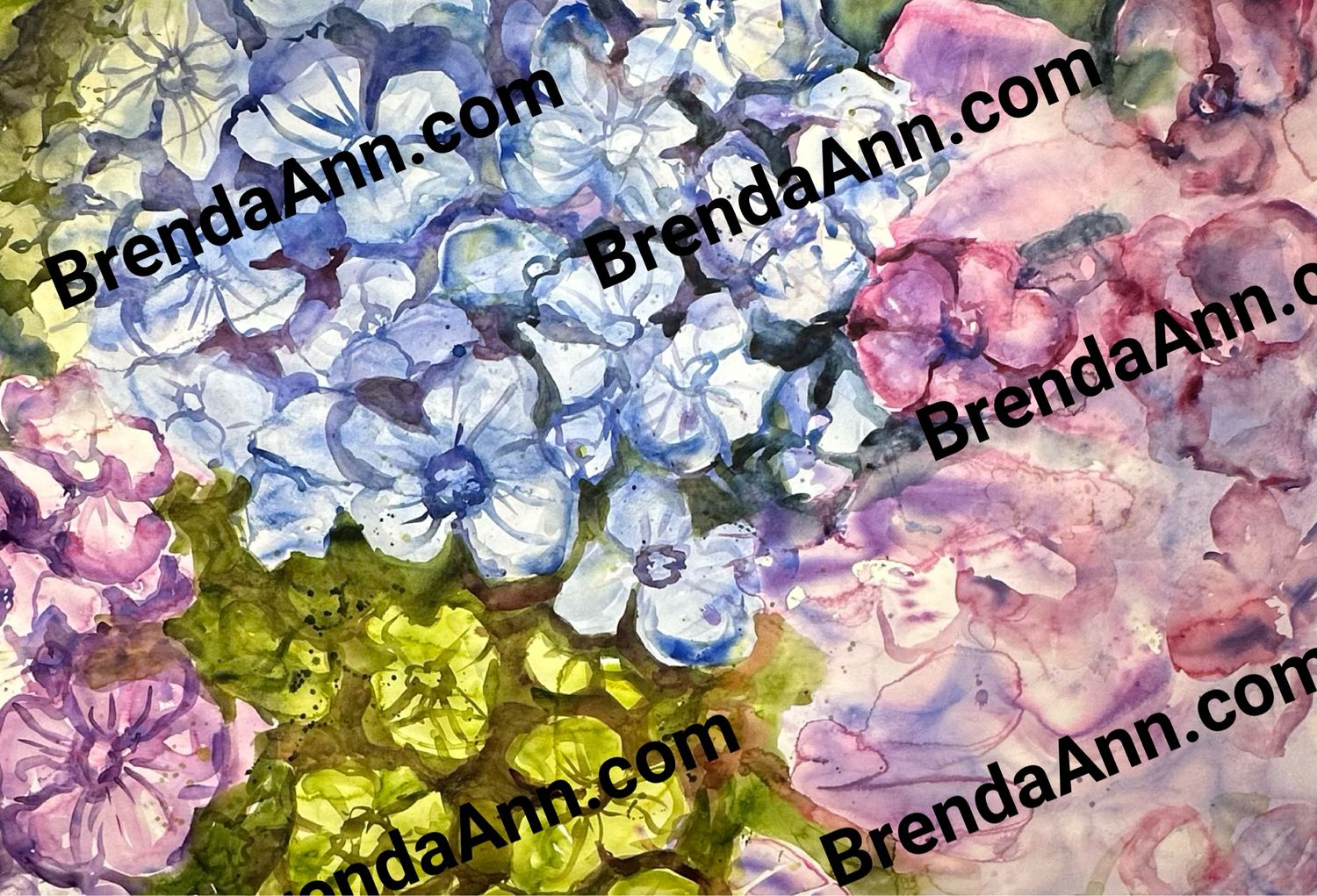 &quot;Fading Memory&quot; Pink Blue Purple Green Hydrangea Watercolor Print - Floral Beach Home Art Gift - Stone Harbor NJ Artist