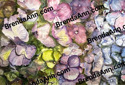 "Paper Petals" Purple Pink Hydrangea Watercolor Print - Floral Beach Home Art Gift - Stone Harbor NJ Artist