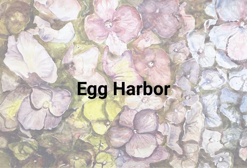 Egg Harbor