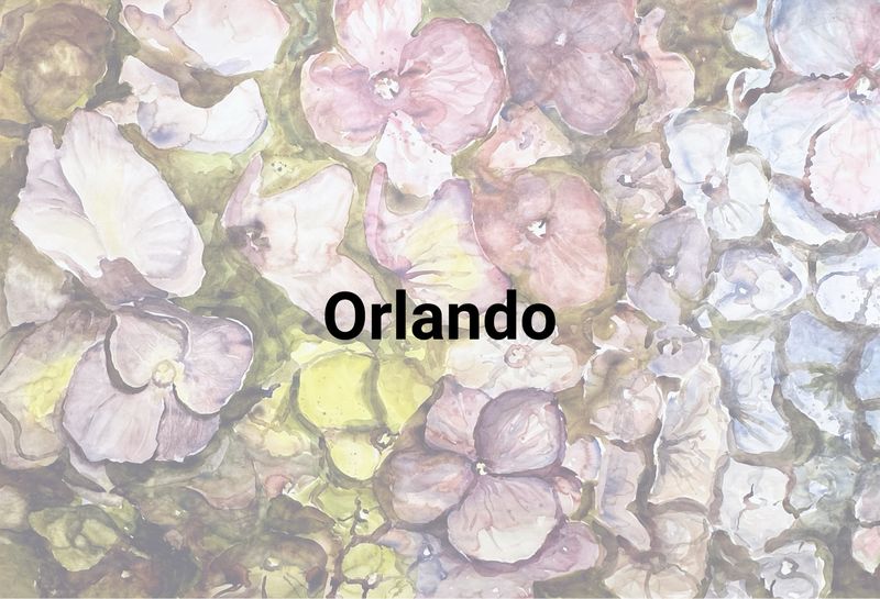 Orlando 