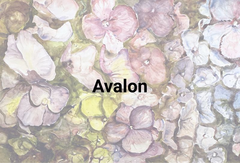 Avalon 
