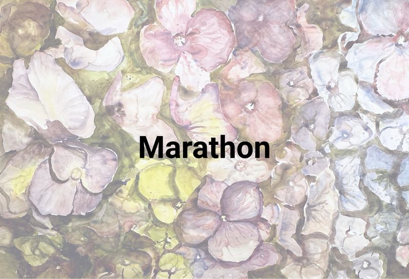Marathon