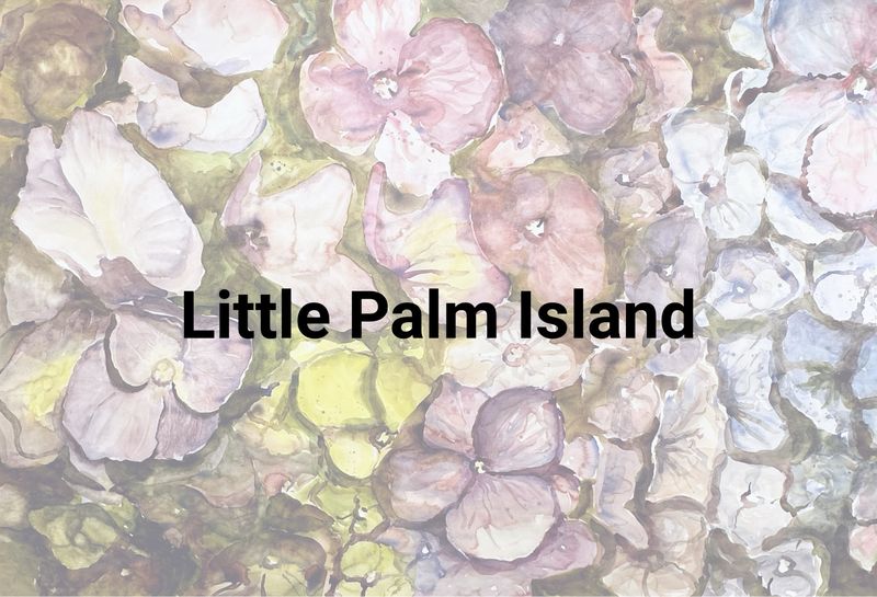 Little Palm Island