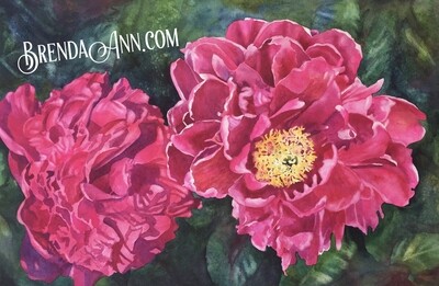 Two Hot Pink Peonies 11x14 Inch Watercolor Print - Floral Beach Home Art Gift