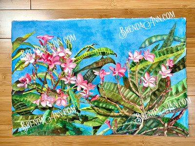 Pink Plumeria Frangipani Watercolor Painting - Tropical Botanical Floral UNFRAMED ORIGINAL Wall Art