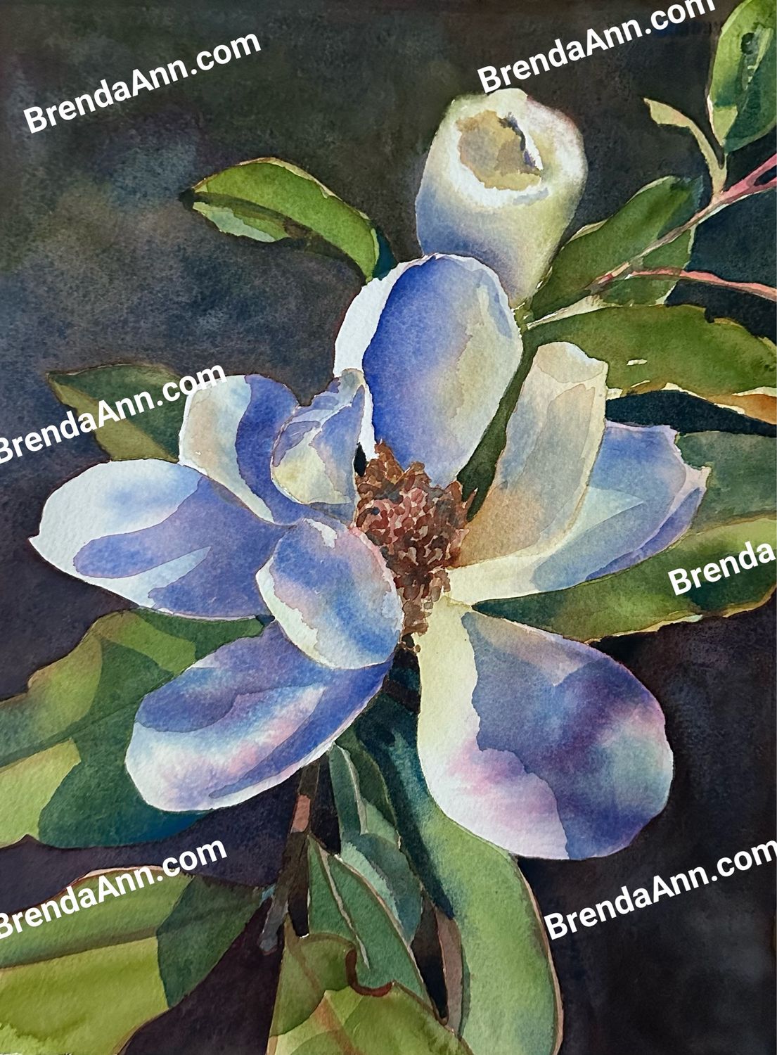 Midnight Blue – Magnolia Watercolor Print
