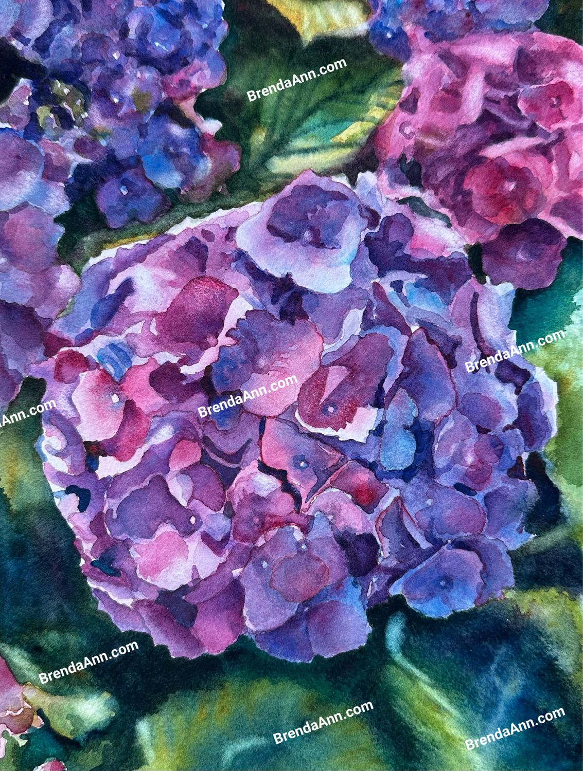 Hydrangea Dreams Watercolor Print - Floral Beach Home Art Gift - Stone Harbor NJ Artist